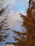 秋·秋叶与云