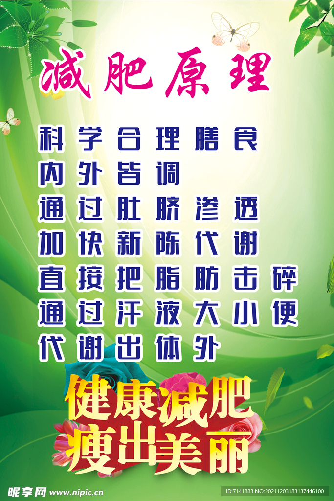 减肥原理