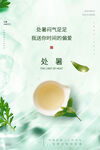 二十四节气之处暑绿色清凉小清新