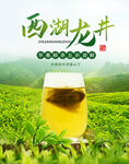 春季茶叶