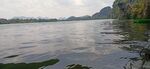 柳州阳和大桥