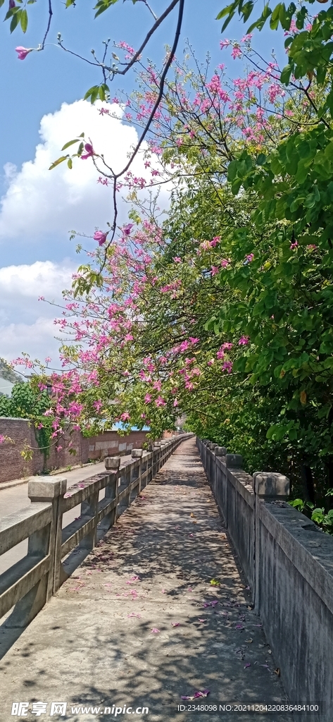 风景  