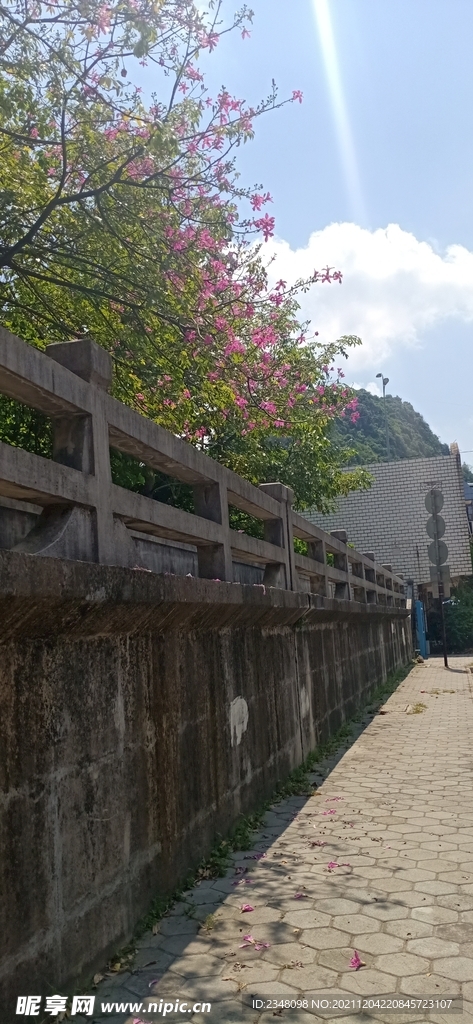 风景 