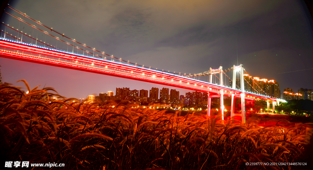鹅公岩大桥夜景