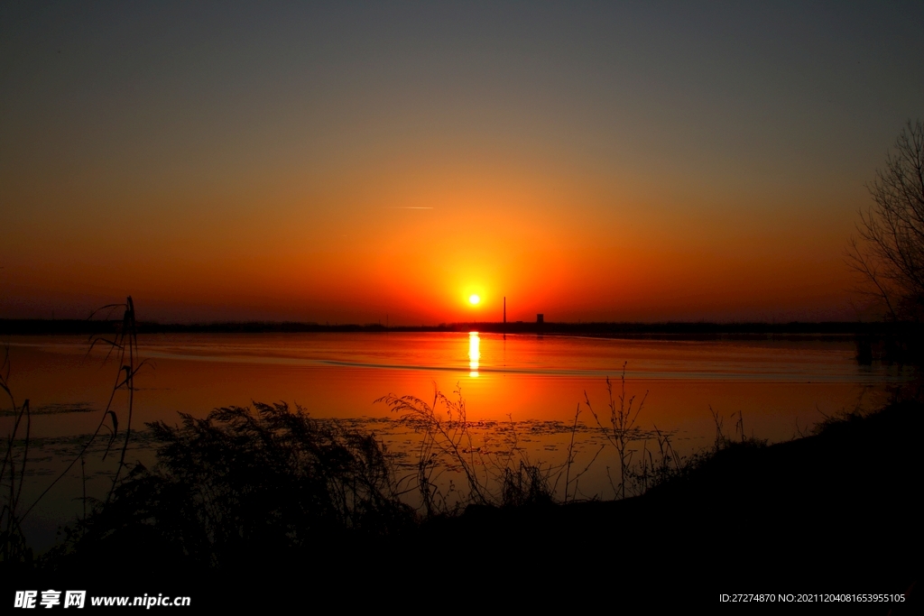 夕阳红组图