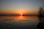 夕阳红组图