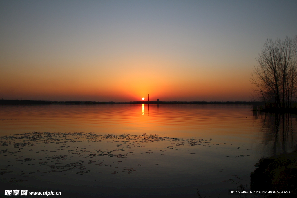 夕阳红组图