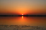 夕阳红组图