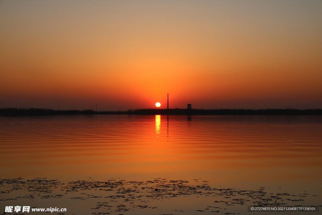 夕阳红组图