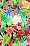 热带花