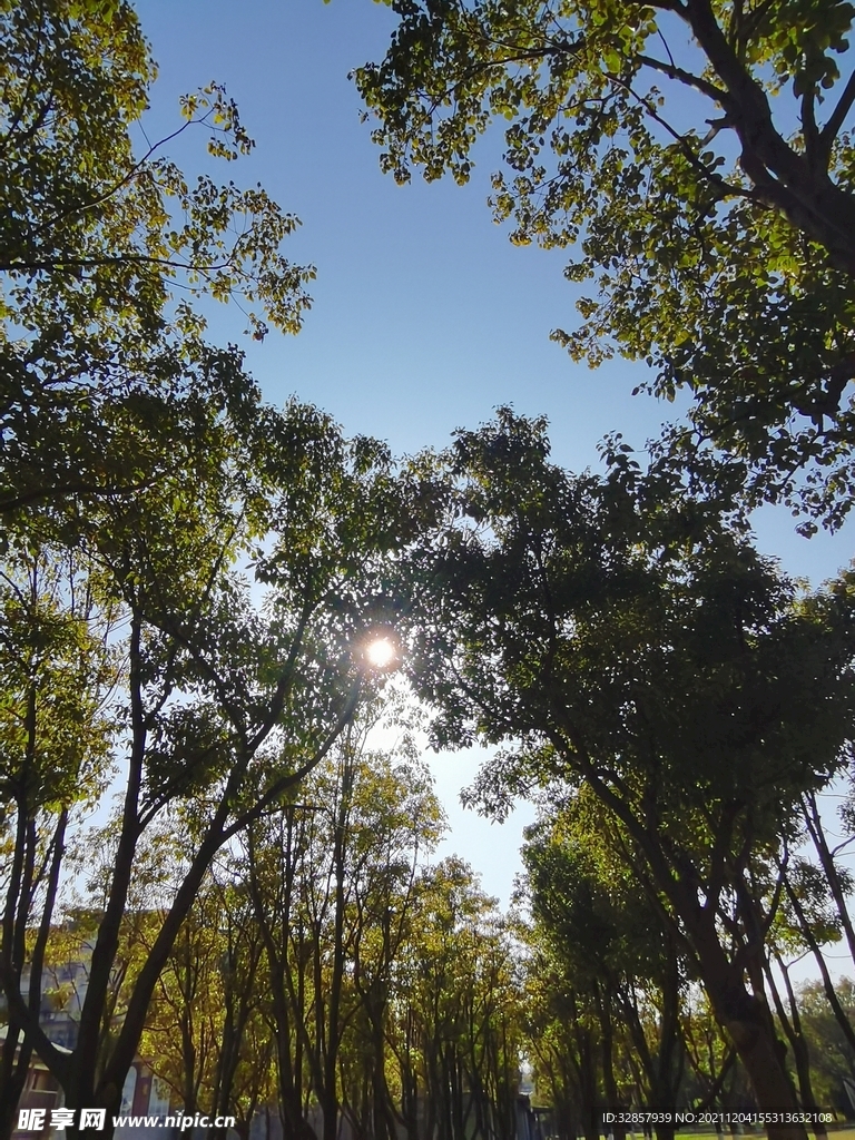 阳光照耀