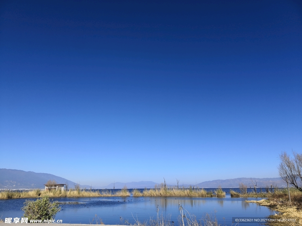 风景