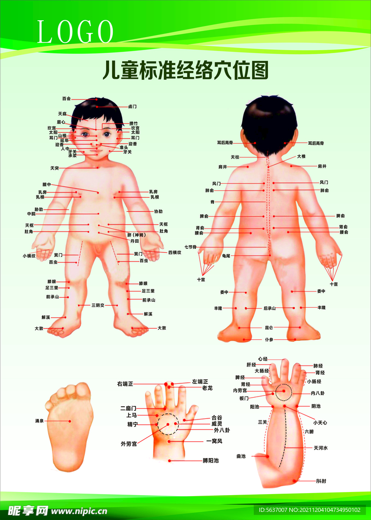 儿童标准经络穴位图