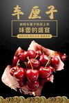 车厘子海报  
