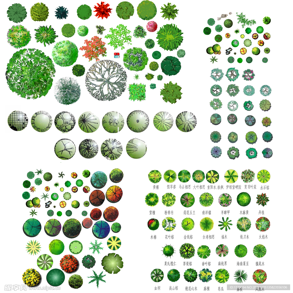各类手绘植物树木PSD分层素材