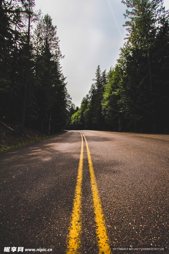 道路