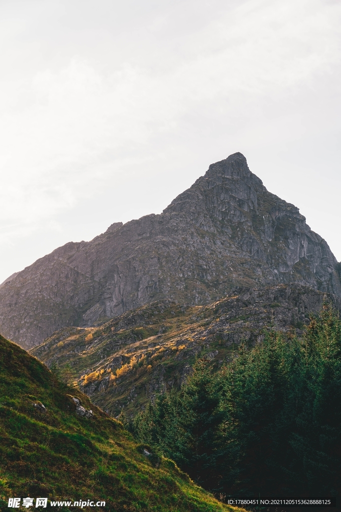 山林