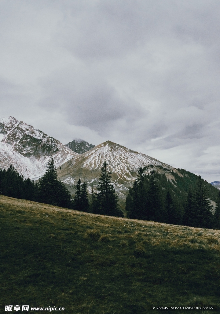 山林