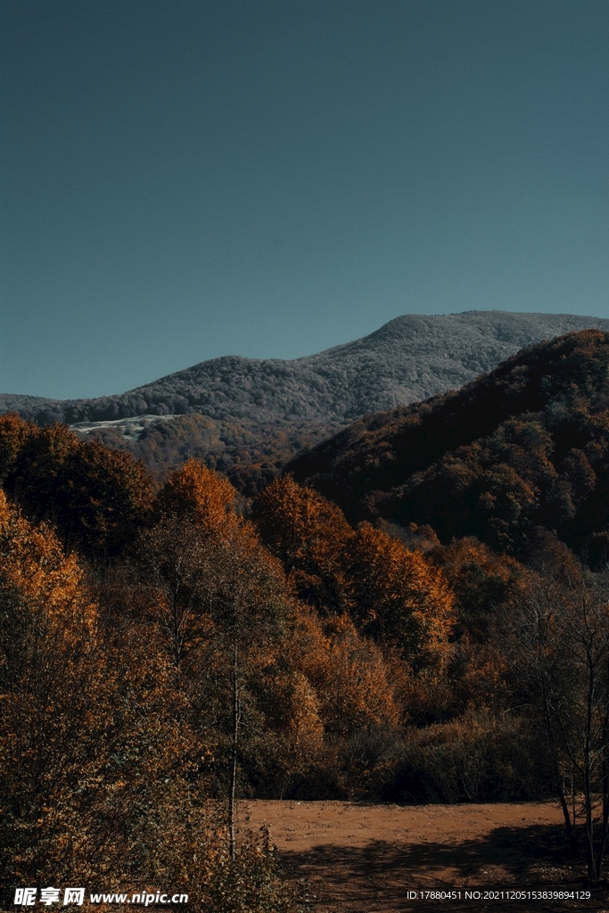 山林