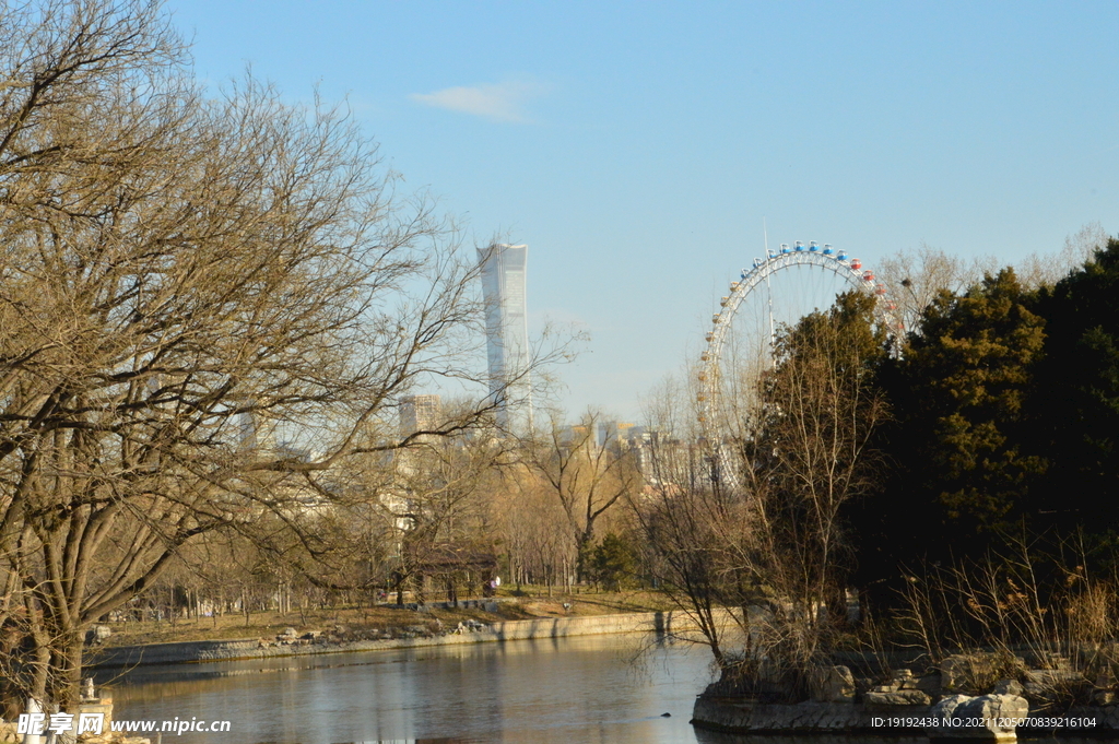 公园风景 