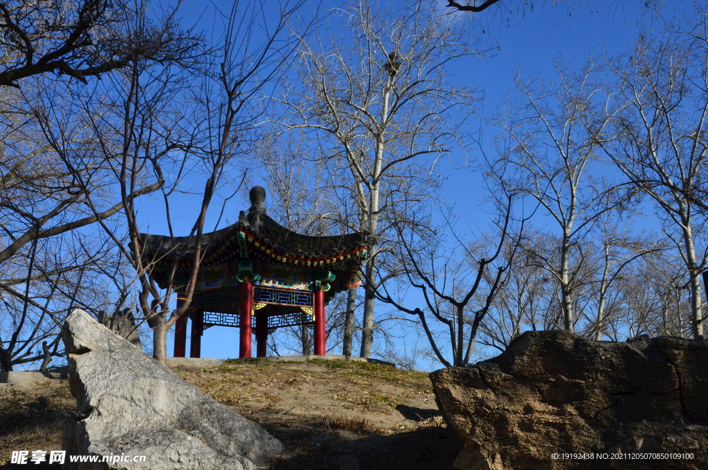 龙潭湖风景