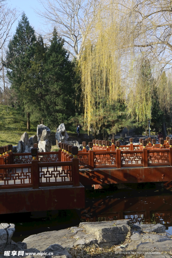 大观园风景  