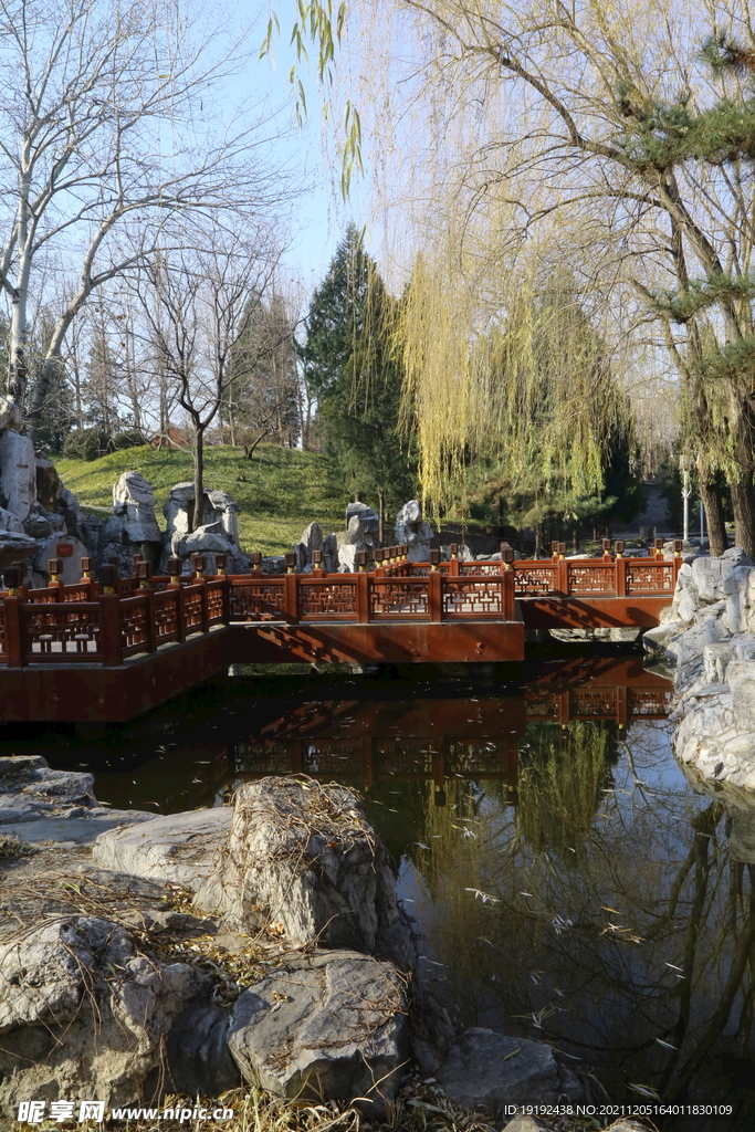 大观园风景 