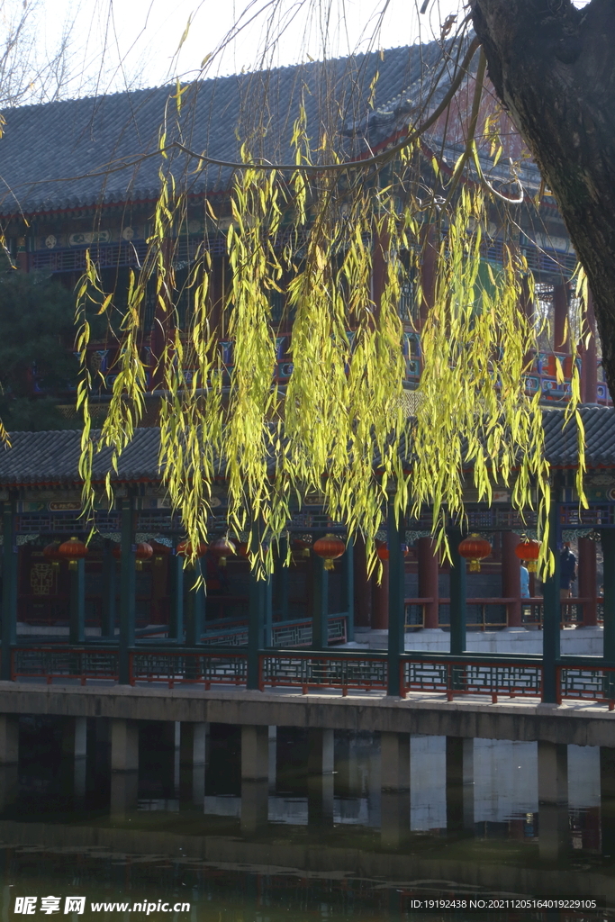 大观园风景 