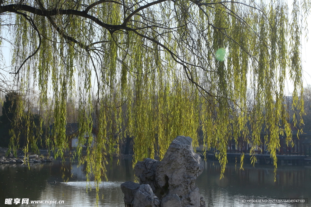 大观园风景