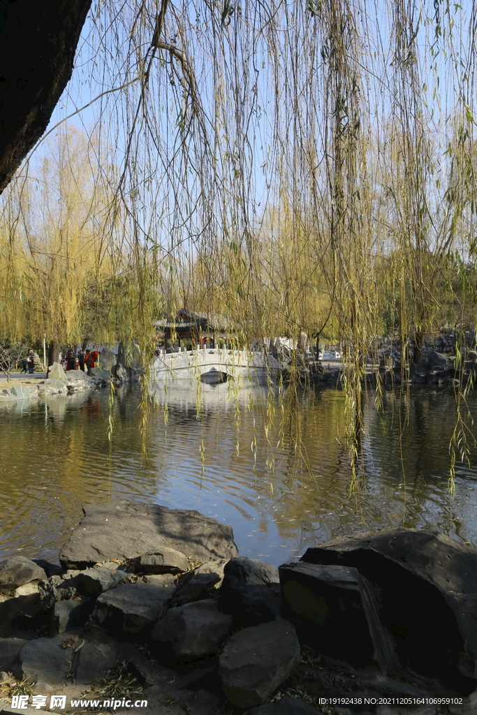 大观园风景