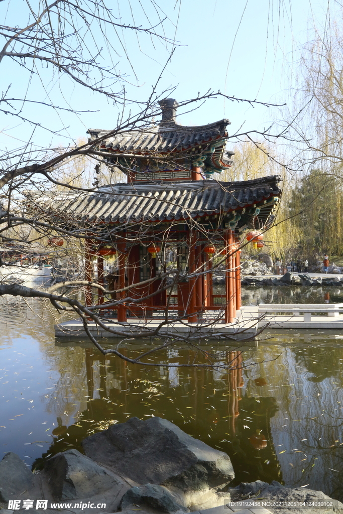 大观园风景