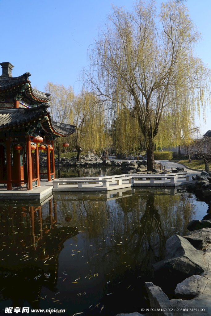 大观园风景