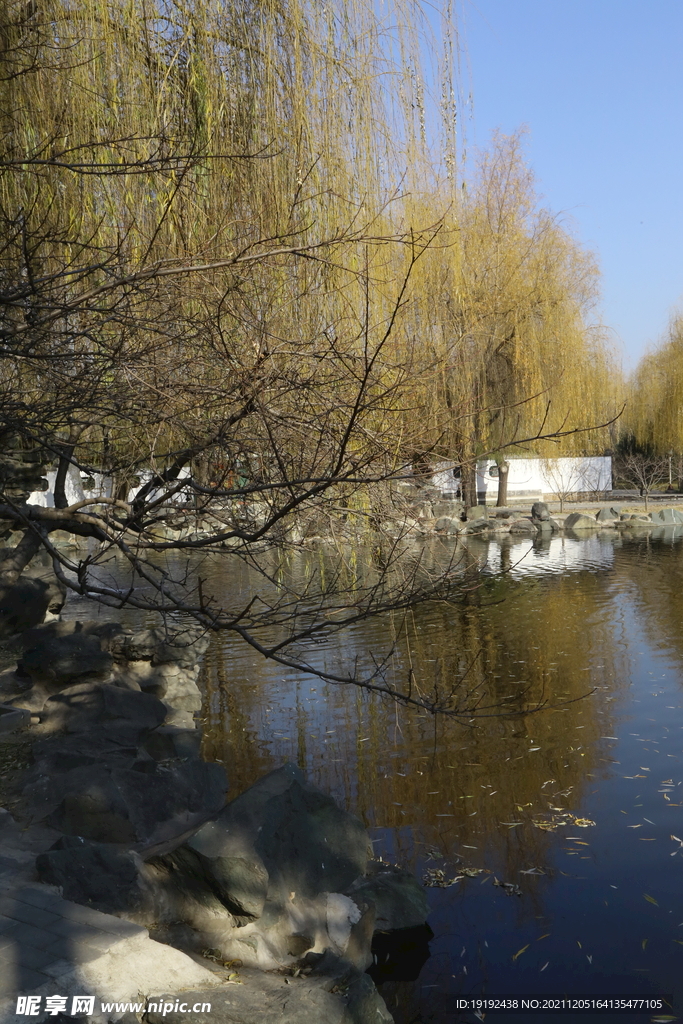 大观园风景 