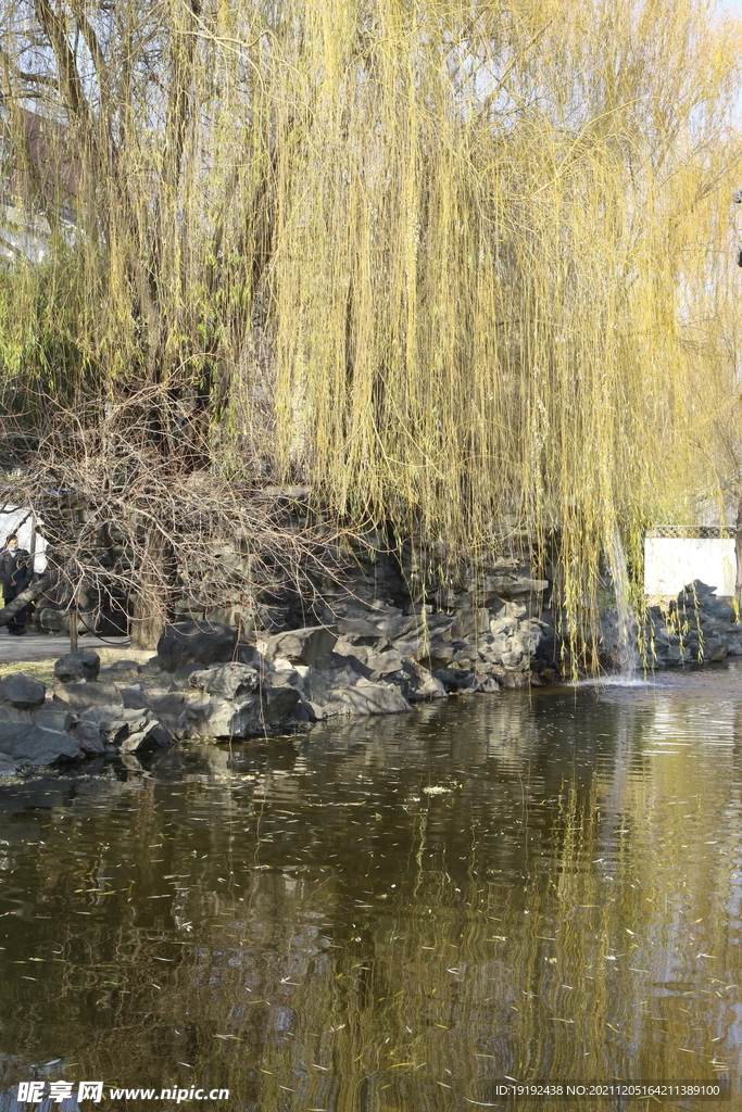 大观园风景