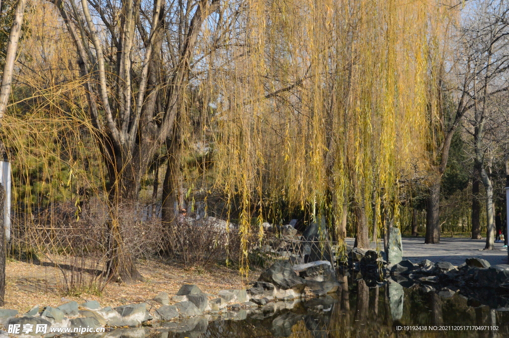 大观园风景