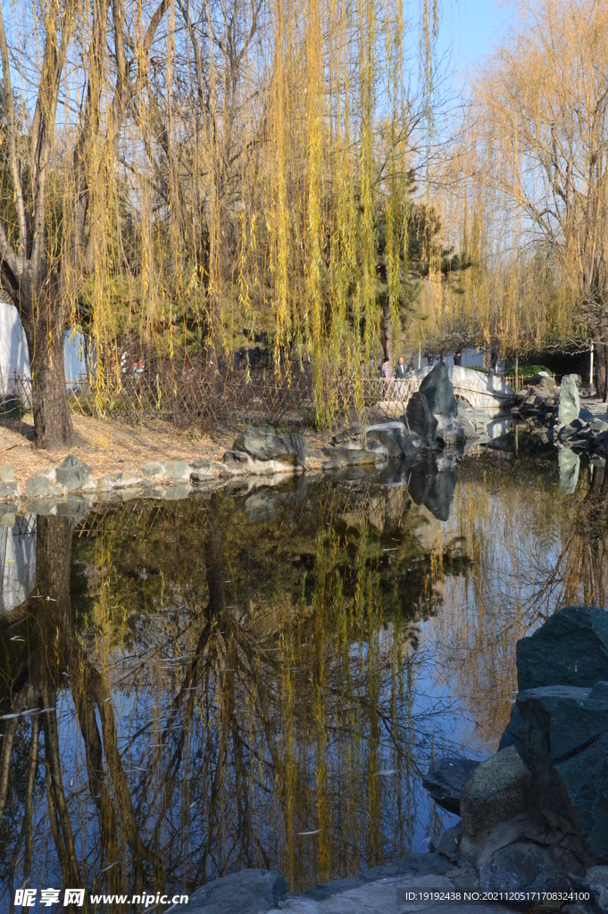 大观园风景