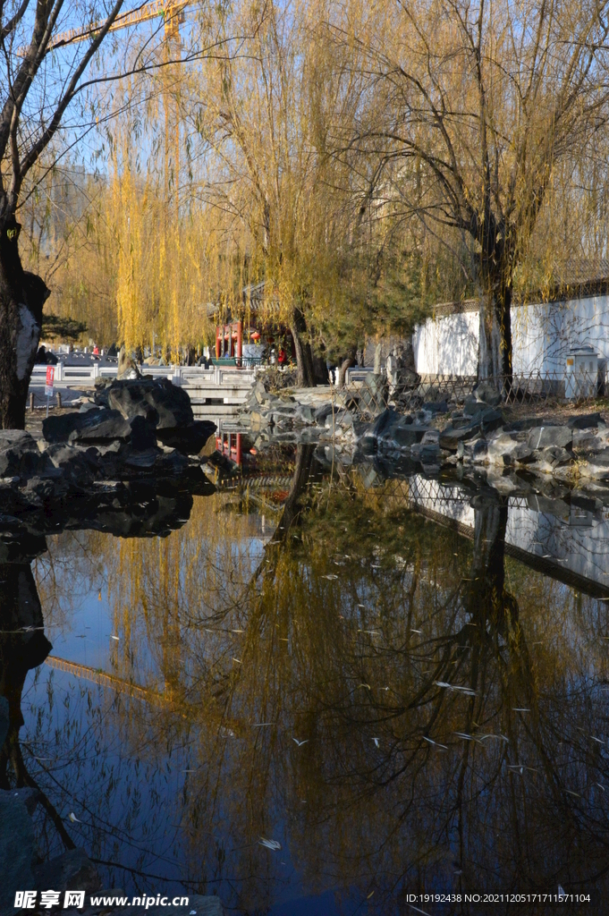 大观园风景 