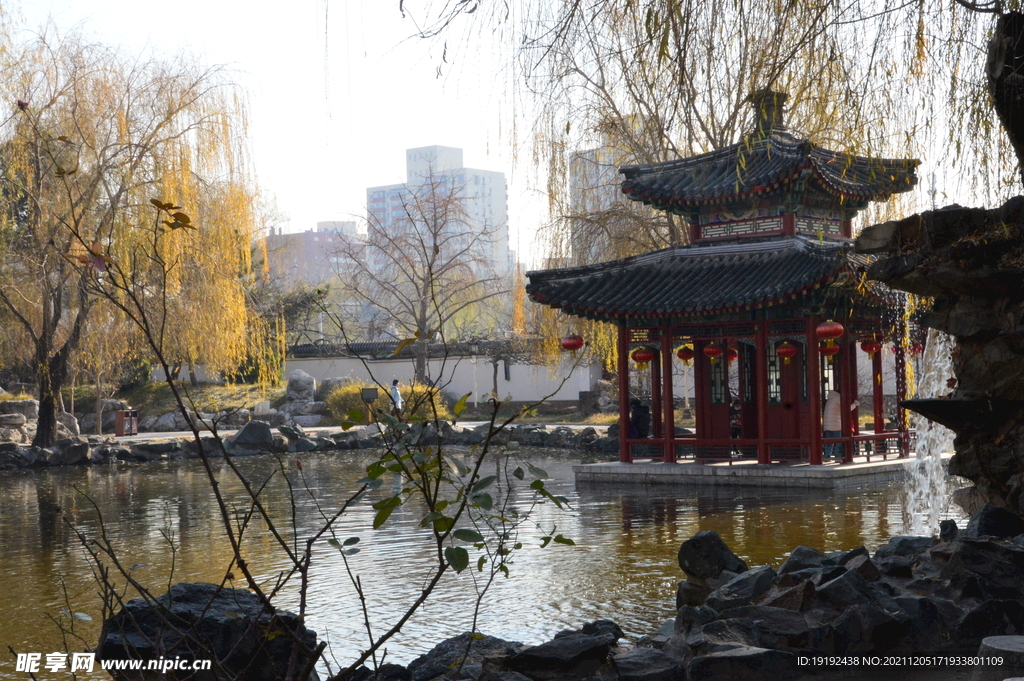 大观园风景 