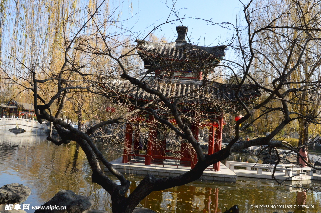 大观园风景  