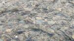 小溪流水