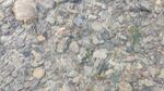 小溪流