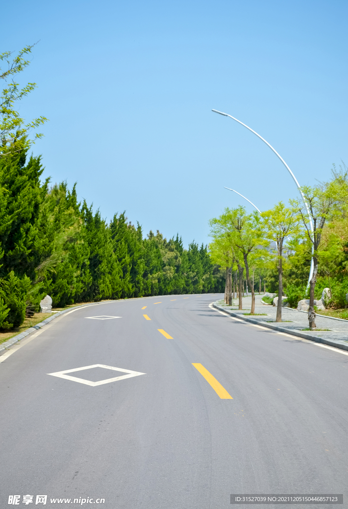 弯曲的道路