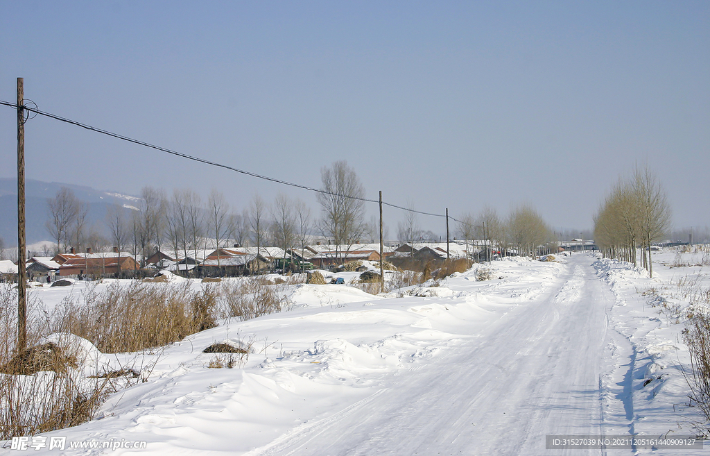 被雪覆盖的道路摄影图