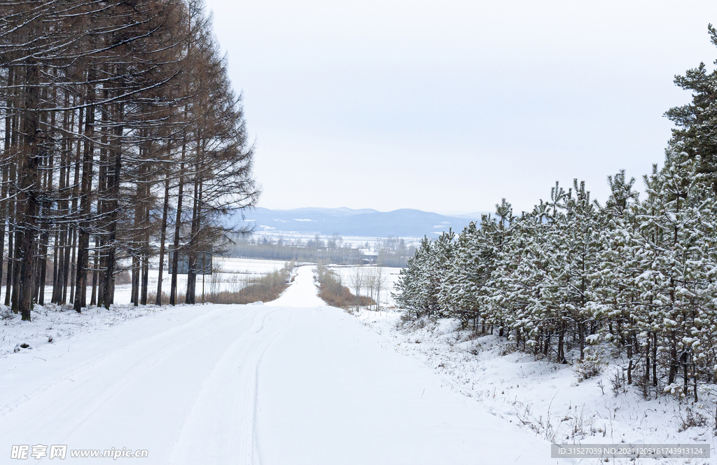 被雪覆盖的公路摄影图