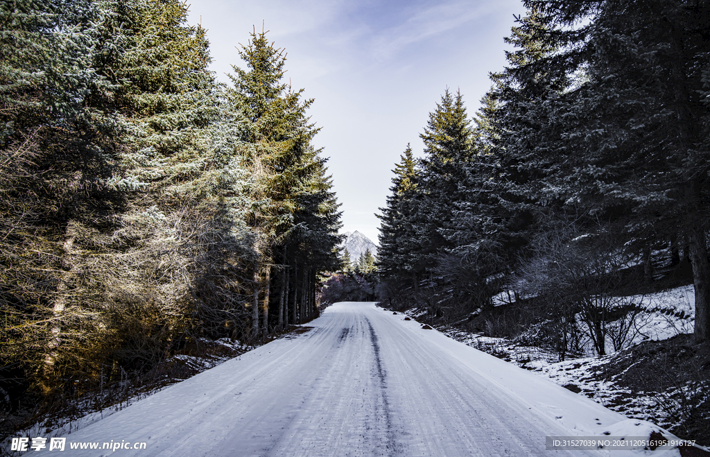 被雪覆盖的道路摄影