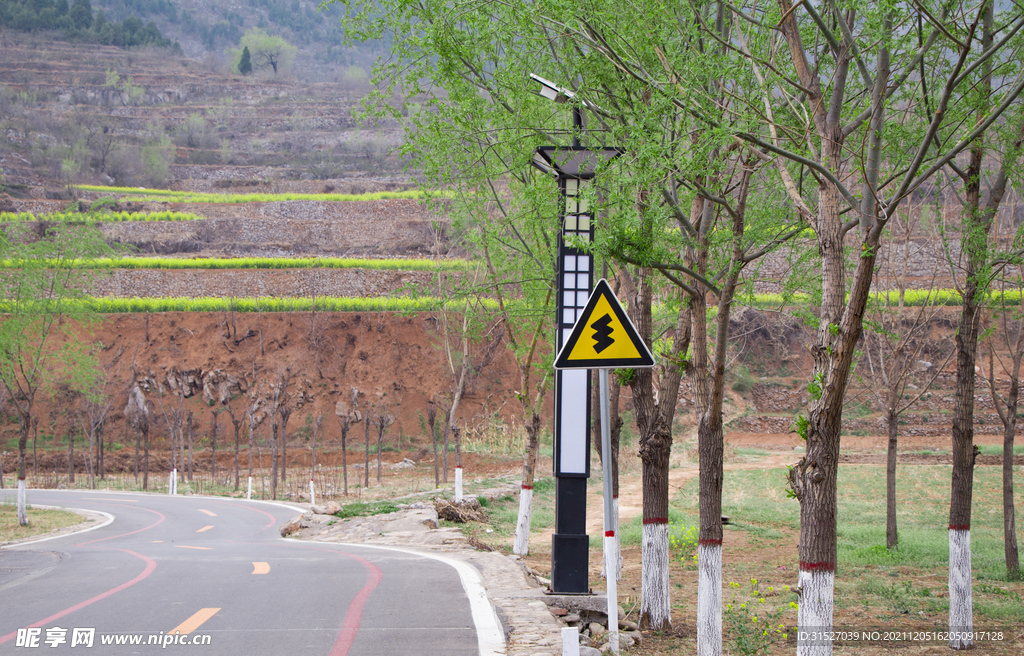 春天公路路旁站牌绿树摄影