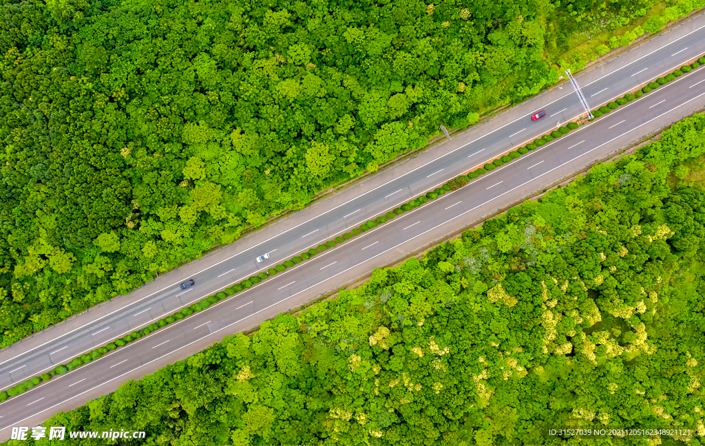 航拍树木环绕的高速公路