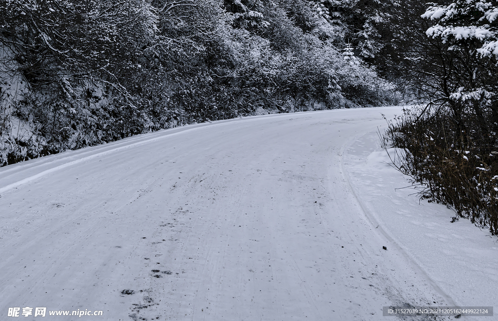 雪地公路高清摄影图