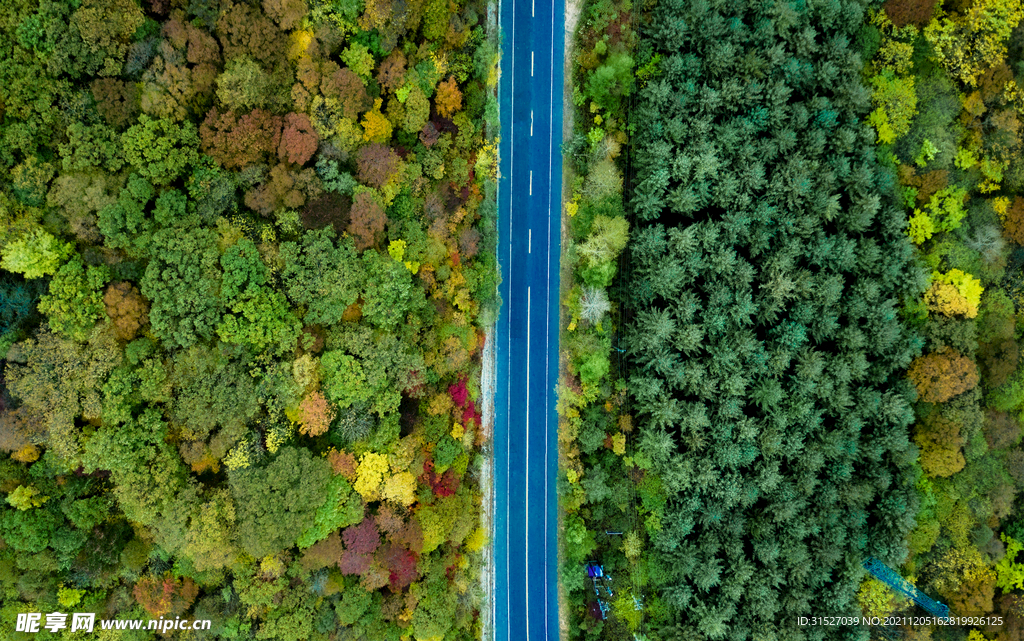 笔直的道路俯拍