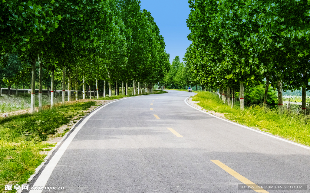 柏油公路摄影